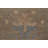 Vegetable Dye Oushak Turkish Large Rug 10x14