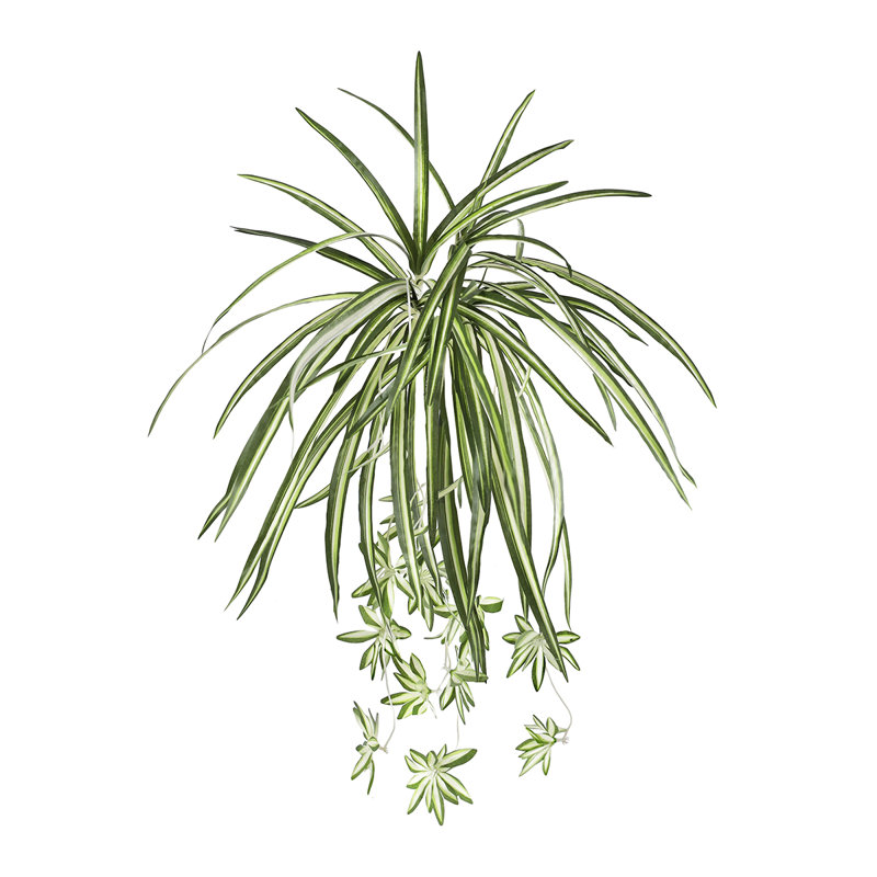 25 po plante araignée suspendue artificielle
