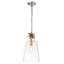 Luminaire suspendu 1 lumière The Neo