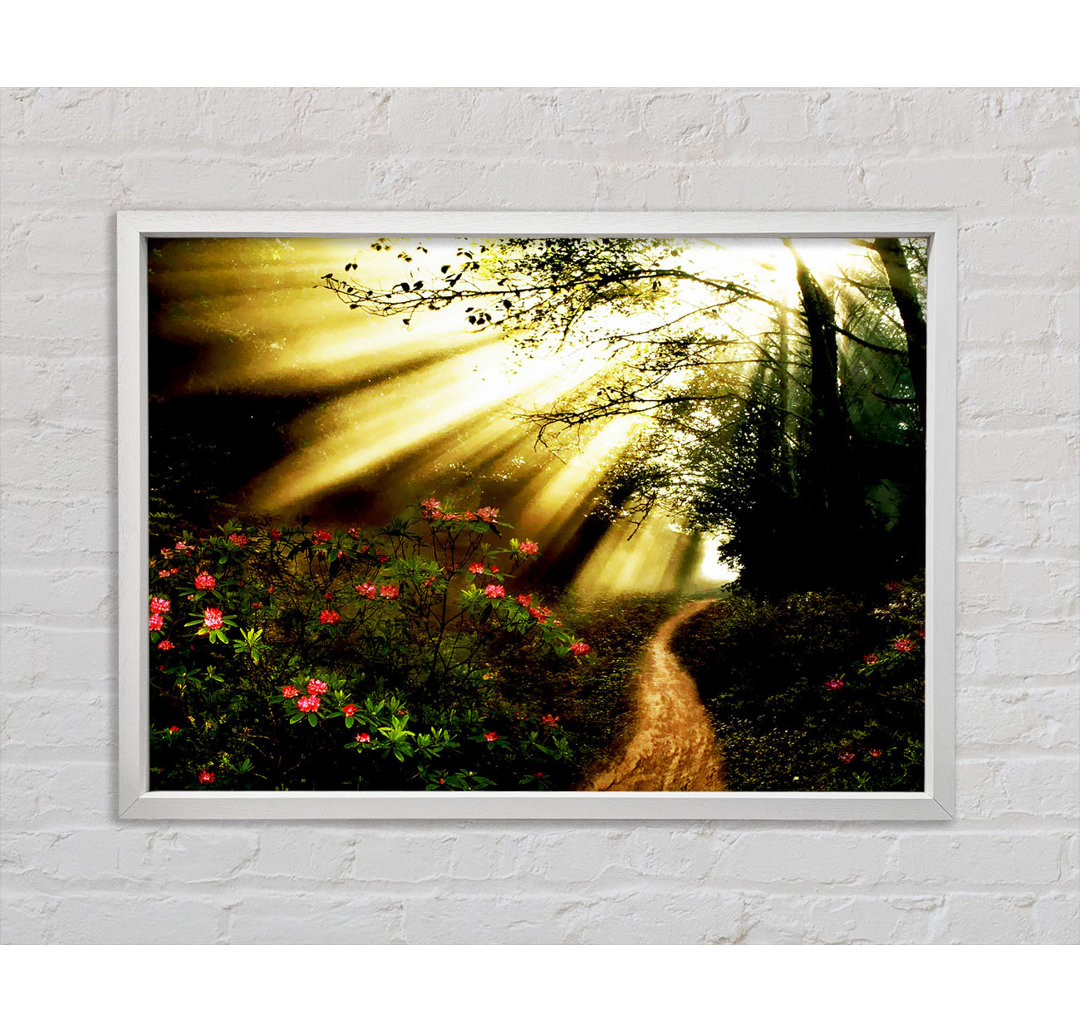 Gerahmtes Poster Mystical Garden Path