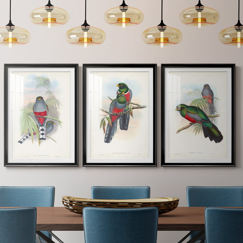 Gould Tropical Birds IV - reproduction encadrée sur mesure de qualité supérieure mate - 3 pièces, Noir