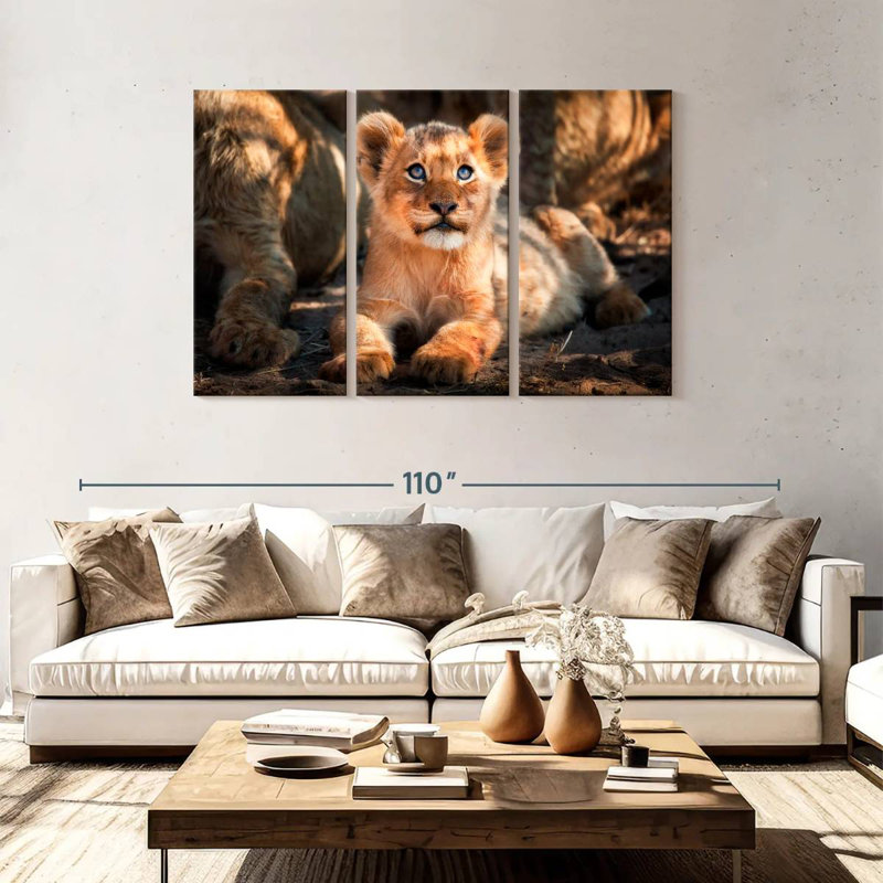 Lion safari Brampt, H 48 po x l 74 po