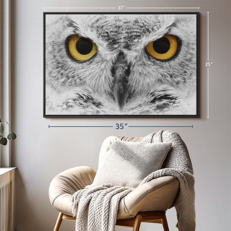 Animal «Gazing Bold Owl», reproduction sur toile, H 25 po x l 37 po