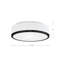 Charlie 2 - Light Flush Mount-64113391