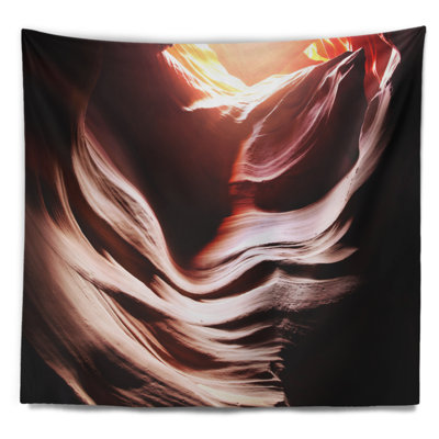 Paysage antilope avec tapisserie d'ombre brune