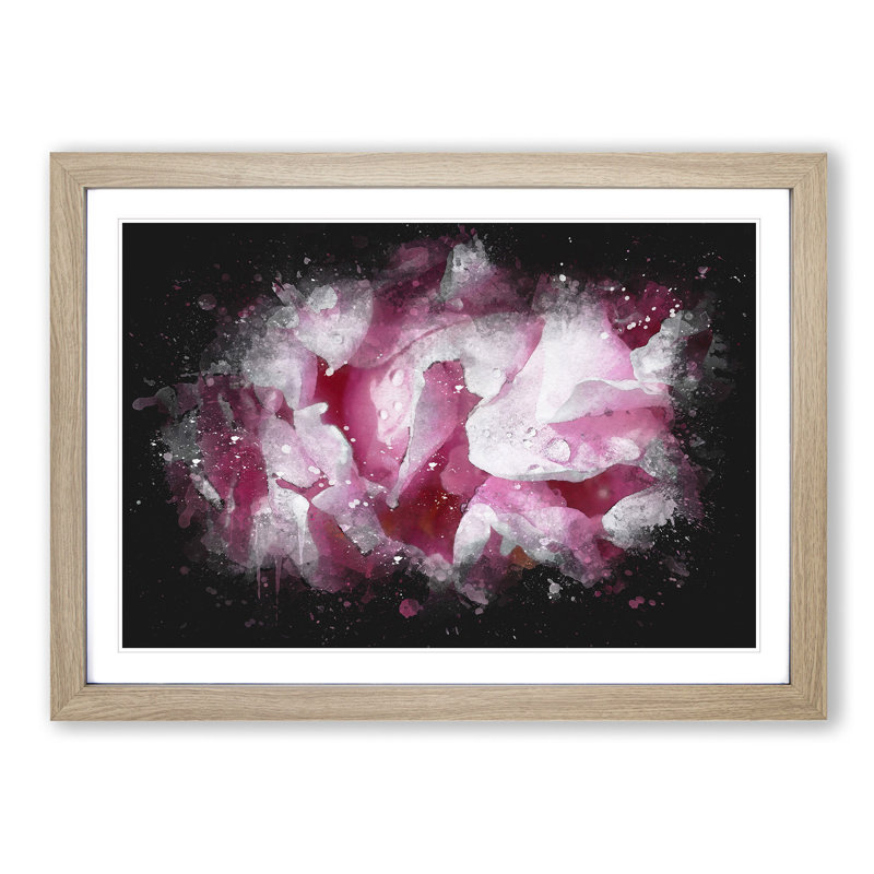 Beautiful Pink Carnation Petals - Single Picture Frame Print on MDF, Oak Framed, 24cm H x 33cm W x 2cm D