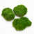 Vert gazon est en rupture de stock