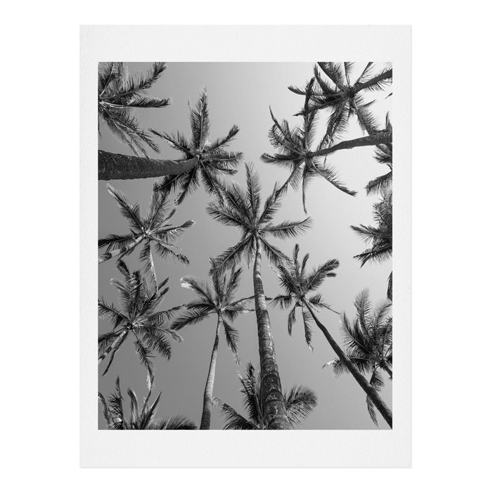 Palmiers, reproduction de photo, H 24 po x l 18 po x P 0,12 po