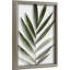 Wall Decoration Plant Art