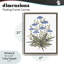 Cadre flottant Where Wild Flowers, design par Cecilia Battaini-2033544231-2033544228