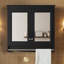 Armoire à pharmacie 30 po 3-en-1 avec porte-serviettes et tablettes réglables, armoire à pharmacie murale