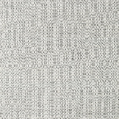 Indoor Rug