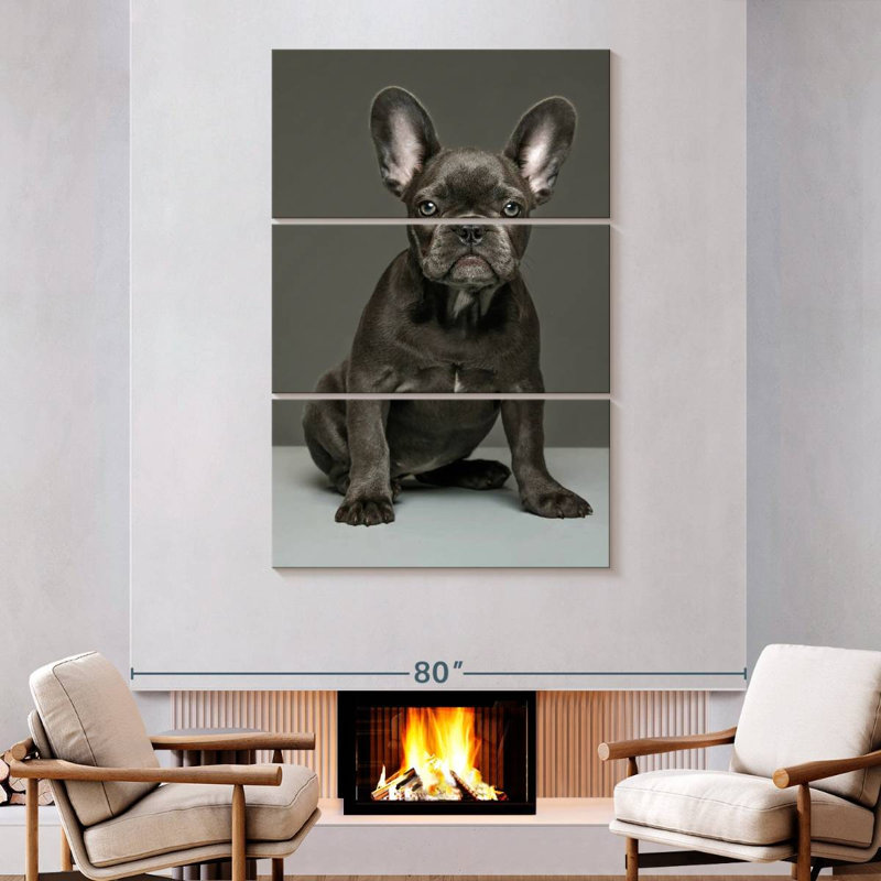 Chiot bouledogue français Brampt, H 74 po x l 48 po