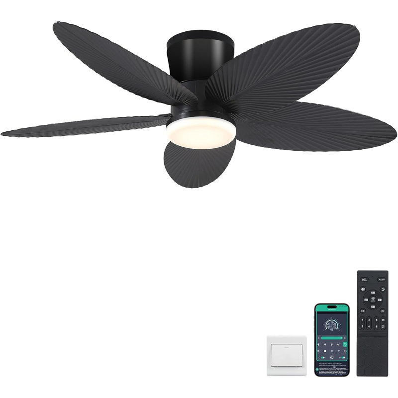 Ventilateur, Noir