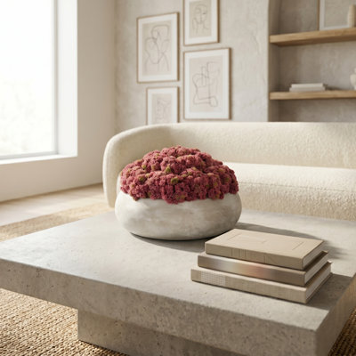 Sedum Arranged in a Stone Planter