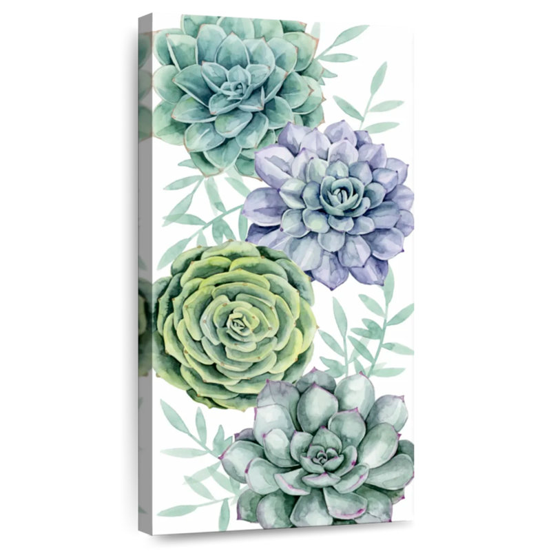 Collection Succulent Swatch B