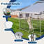 Dog House-796617350