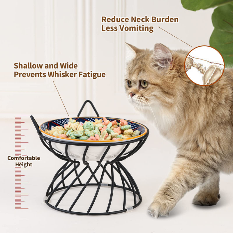 Elevated Feeder