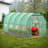 Walk In Greenhouse 
