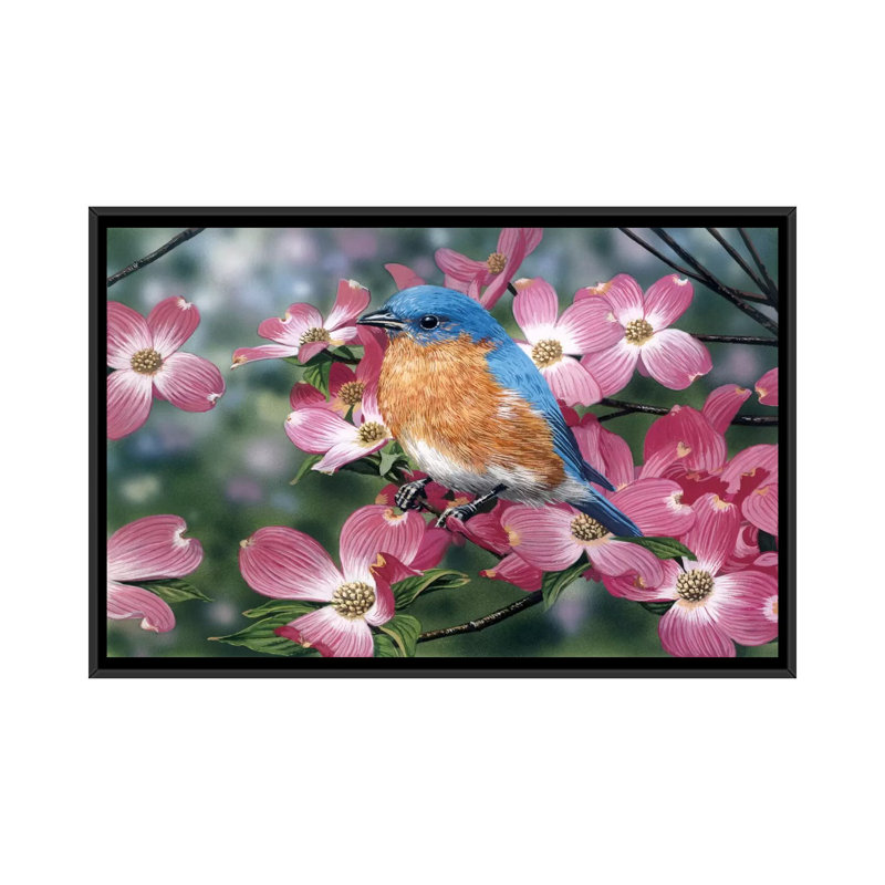 « dogwood rose rose » par william vanderdasson, impression sur toile, H 18 po x l 26 po x P 1,5 po, Toile avec cadre noir