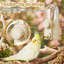 5.9 Bird Cage