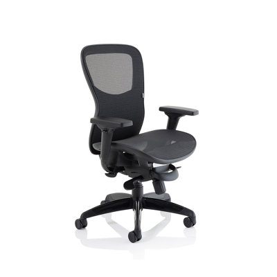 Higgins Mesh Office Chair