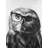 Northern saw-whet owl with glasses -  Framed Canvas