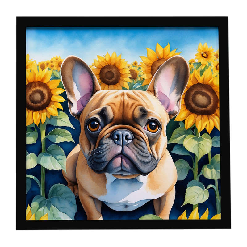 Bouledogue français avec tournesols, reproduction d'art encadrée