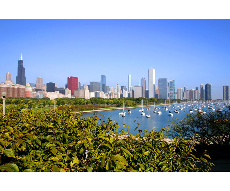 Chicago Cityscape and Lakefront, H 12 po x l 18 po