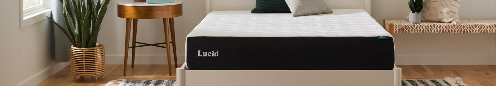 Lucid