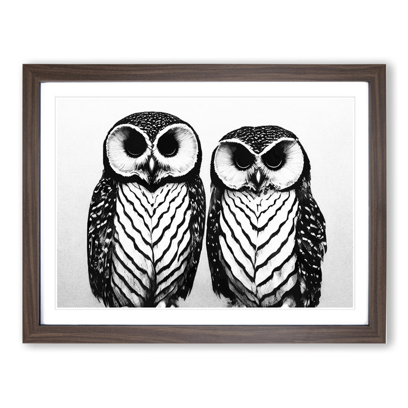 Monochrome Owls Vol.3 - Framed Print, 34cm H x 46cm W x 2cm D, Brown Framed
