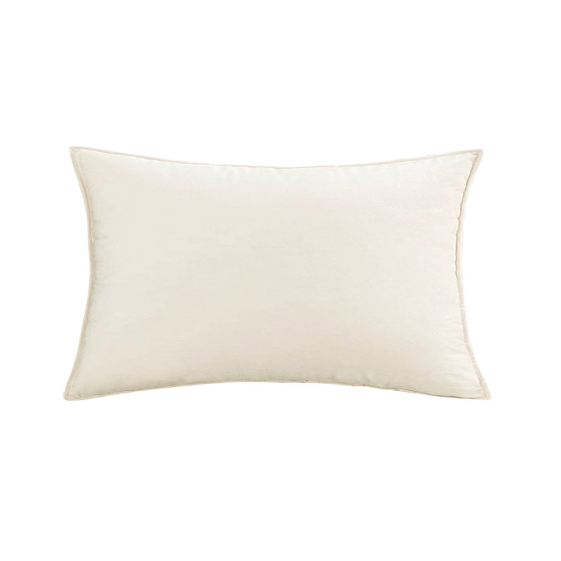 Black Set of 2 Velvet Solid Colors Decorative Throw Pillows size  20"x20" with 580g each inserts, Black, 20"H x 20"W