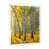 Toile avec cadre blanc