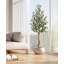 Olive artificielle 6 pi (72 po) de hauteur oliviers en soie artificielle-810713588-809732377