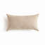 Blake Polyester Indoor/Outdoor Pillow Cover & Insert-490052834-490052860