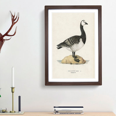 Barnacle Goose by Von Wright - Picture Frame Painting Print