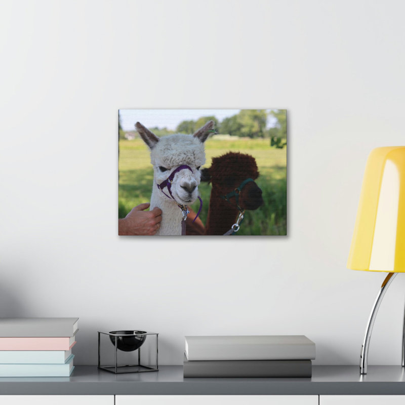 No Frame Print on Canvas, 30.48cm H x 45.72cm W