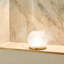 Alazah Glass Table Lamp