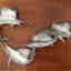 Customer photo 3 of 3