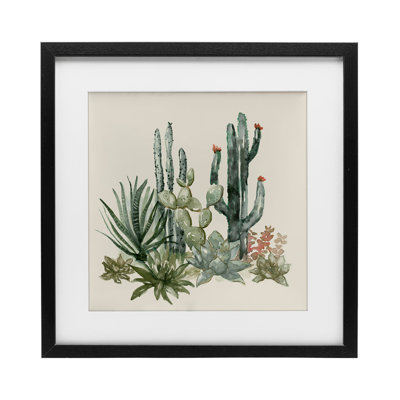 «Mojave Green Succulents», reproduction d'art sous verre encadrée, par Nan