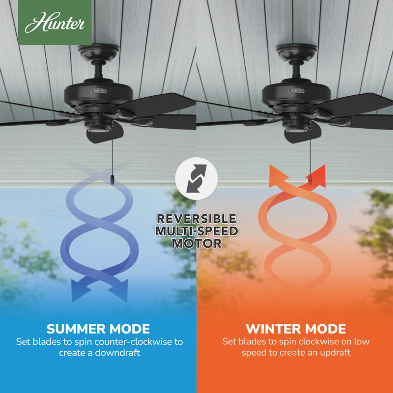48" Sea Wind 5 - Blade Outdoor Standard Ceiling Fan with Pull Chain, Matte Black