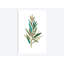 Olive III par Asia Jensen - reproduction d'art sur toile tendue-31880773-73267943-73277272