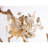 Light Sputnik Modern Linear Brandolini Branch Chandelier-91757320-91757321-91757322
