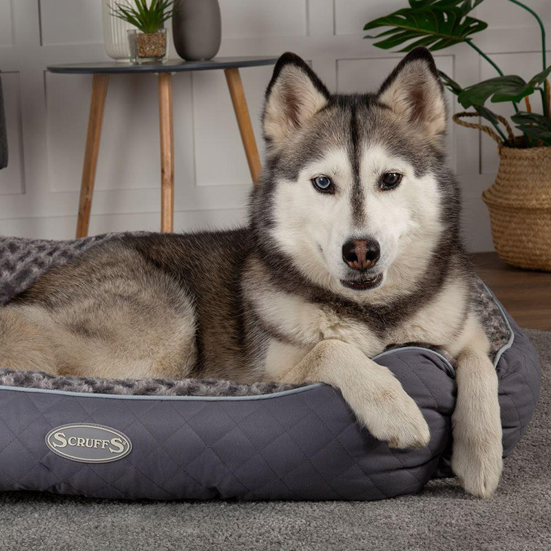 Polyester Pet Bed, 14cm H x 50cm W x 40cm D