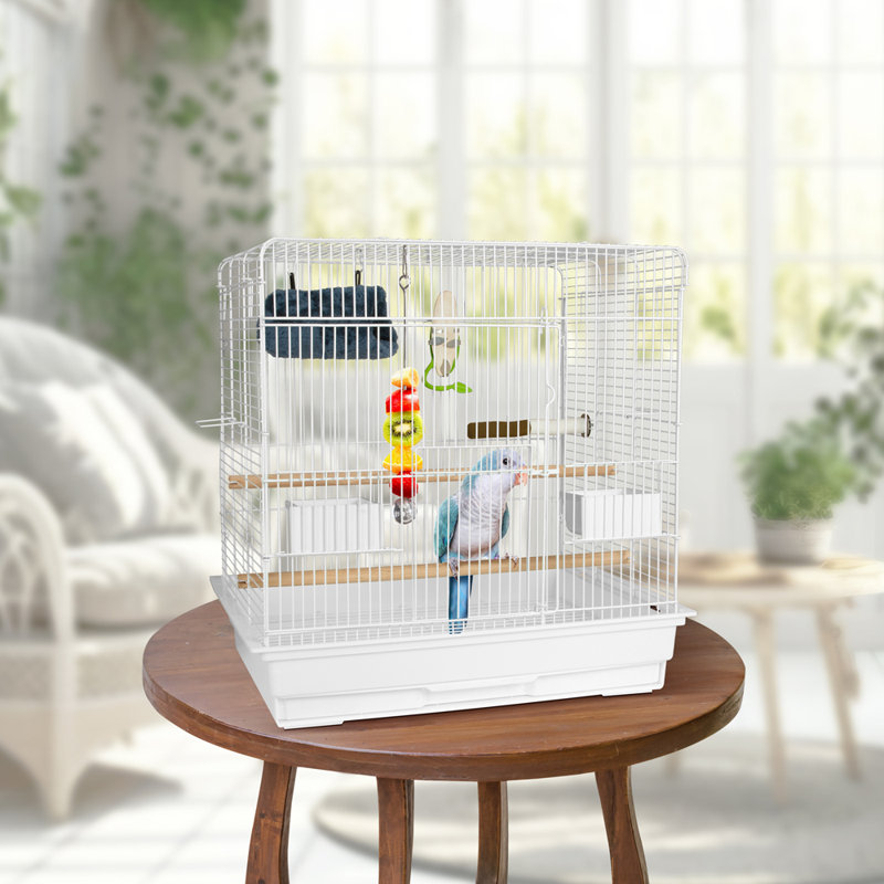 Ensemble moyen de cage à oiseaux moyenne, Blanc