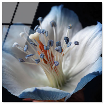 Blue Supernova II Acrylic Print Floral Wall Art by Notoriart, Ready to Hang, 12 x 12