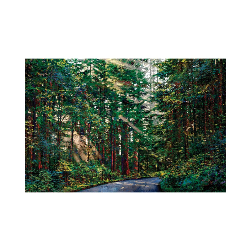 Redwoods II by Lisa Robinson - Wrapped Canvas Gallery-Wrapped Canvas Giclée, 20.32 cm H x 30.48 cm W