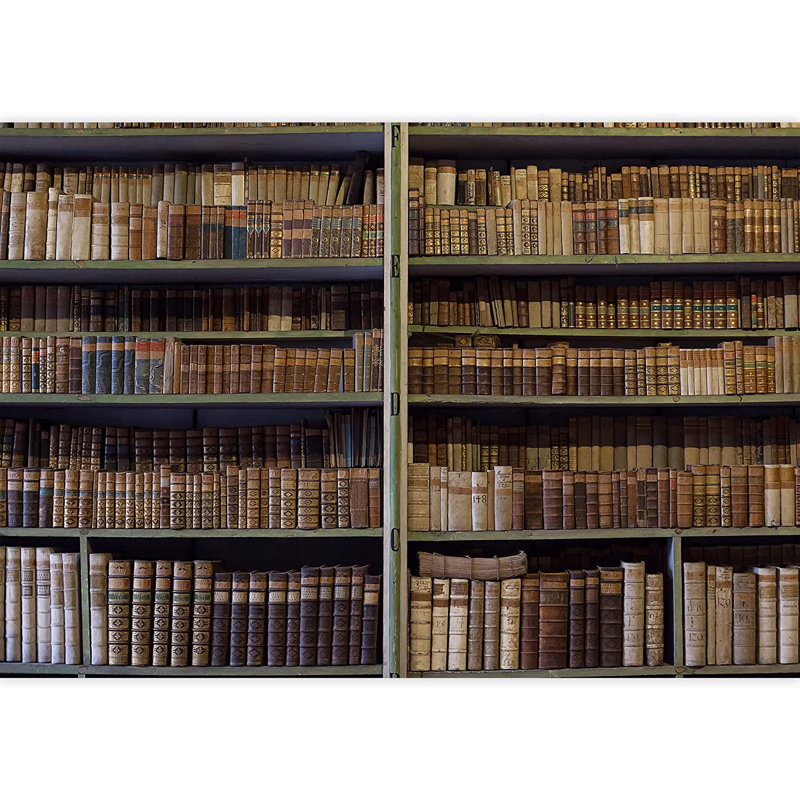 Historic Old Books in Ancient Library Wooden Bookshelf Paintable Wall Mural, 100" L x 144" W