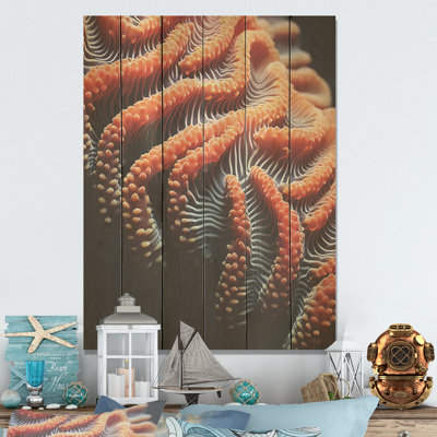 Abîme mystique sous-marin orange - corail côtier sous l'eau, art mural sur bois de pin naturel
