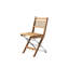 Outdoor Teak Dining Side Chair